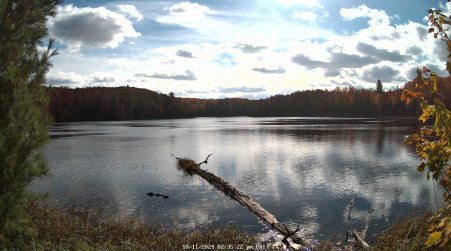Image from 2024-10-11