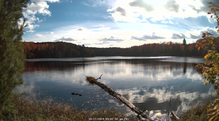 Image from 2024-10-11