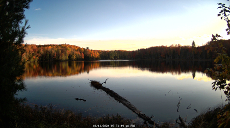 Image from 2024-10-11