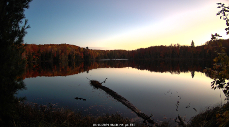 Image from 2024-10-11
