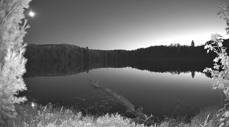 Image from 2024-10-11