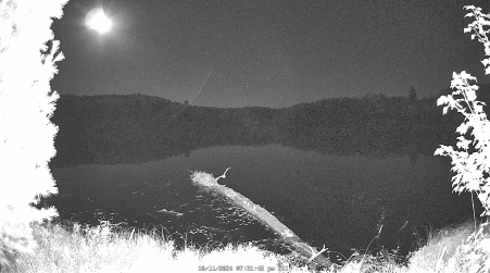 Image from 2024-10-11