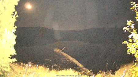Image from 2024-10-11