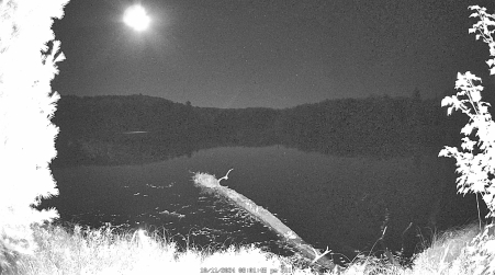 Image from 2024-10-11
