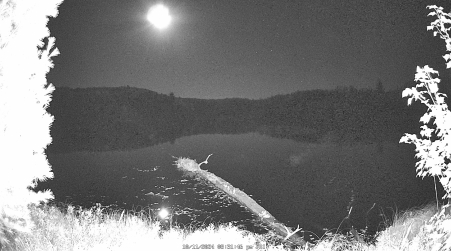 Image from 2024-10-11