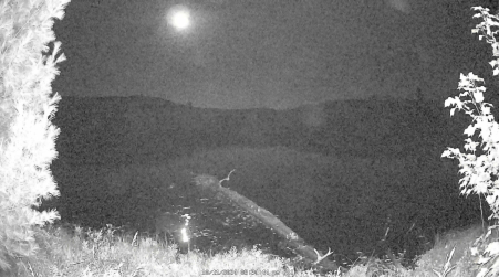Image from 2024-10-11