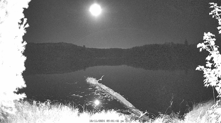 Image from 2024-10-11