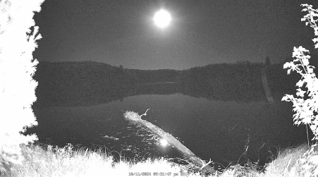 Image from 2024-10-11