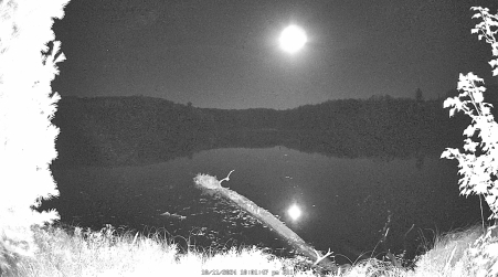 Image from 2024-10-11
