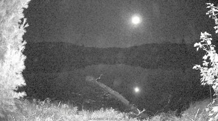 Image from 2024-10-11