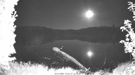 Image from 2024-10-11