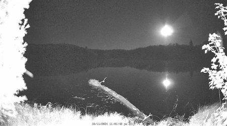 Image from 2024-10-11