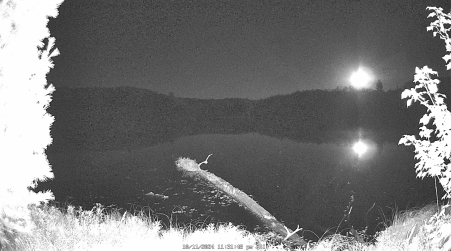 Image from 2024-10-11