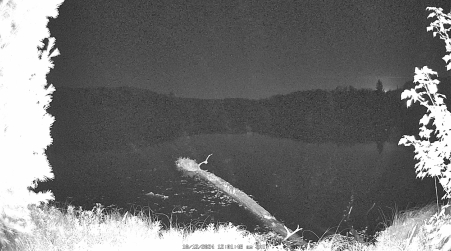 Image from 2024-10-12