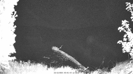 Image from 2024-10-12