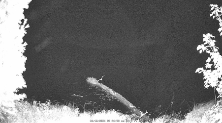 Image from 2024-10-12