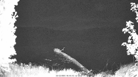 Image from 2024-10-12