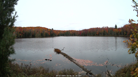 Image from 2024-10-12