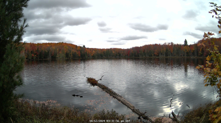 Image from 2024-10-12