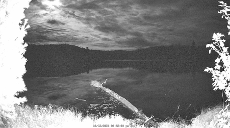 Image from 2024-10-12