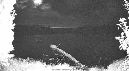 Image from 2024-10-12