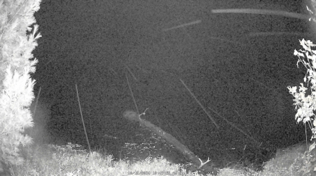 Image from 2024-10-12
