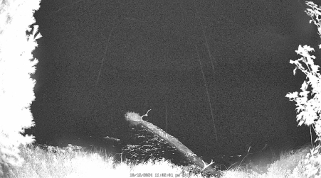 Image from 2024-10-12