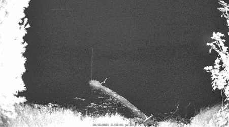 Image from 2024-10-12
