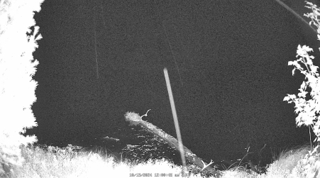 Image from 2024-10-13