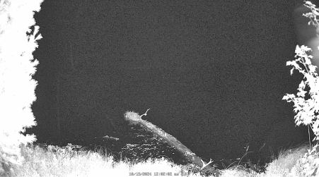 Image from 2024-10-13