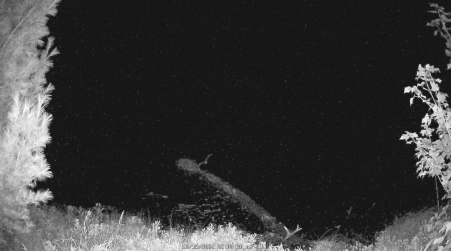 Image from 2024-10-13