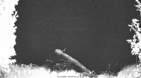 Image from 2024-10-13