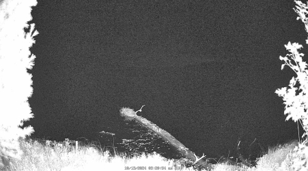 Image from 2024-10-13