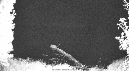 Image from 2024-10-13