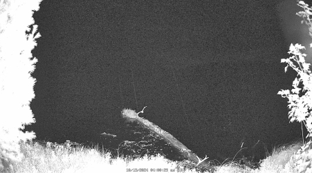 Image from 2024-10-13