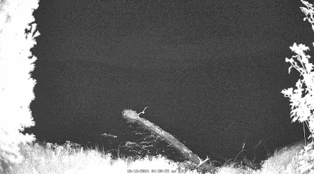Image from 2024-10-13