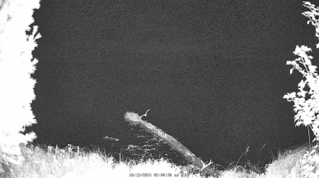 Image from 2024-10-13