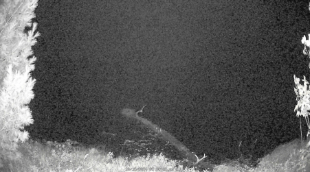 Image from 2024-10-13