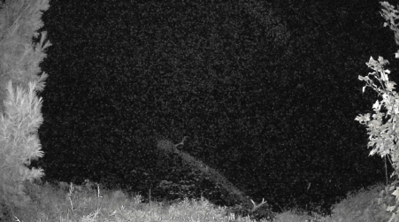 Image from 2024-10-13