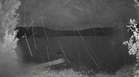 Image from 2024-10-13