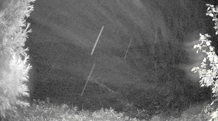 Image from 2024-10-13