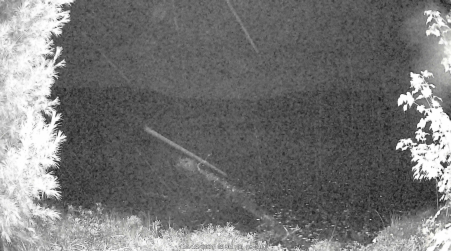 Image from 2024-10-13