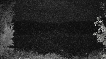 Image from 2024-10-13