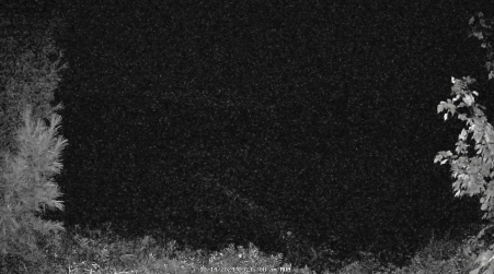 Image from 2024-10-14