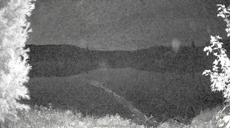 Image from 2024-10-14