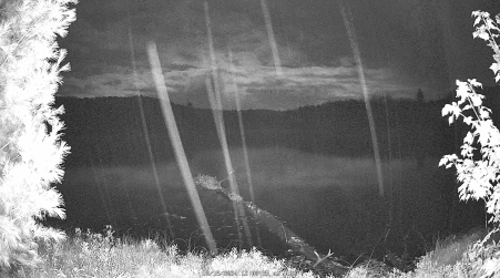 Image from 2024-10-15