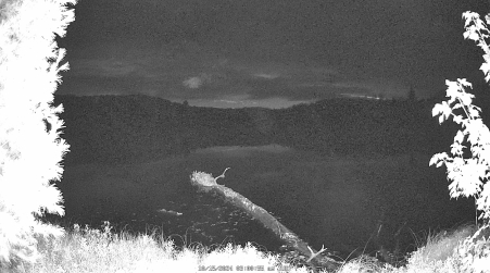 Image from 2024-10-15