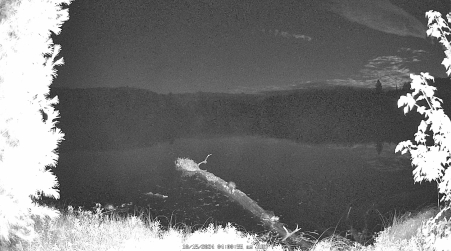 Image from 2024-10-15