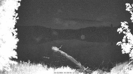 Image from 2024-10-15