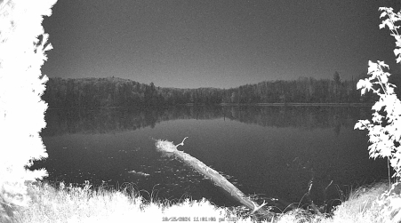 Image from 2024-10-15